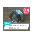 いろいろなとのまる。（個別スタンプ：13）