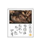 いろいろなとのまる。（個別スタンプ：16）