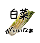 餃子は完全食（個別スタンプ：2）