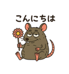 毎日使える⟡.·ポップなネズミ（個別スタンプ：3）