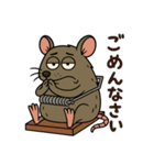 毎日使える⟡.·ポップなネズミ（個別スタンプ：10）