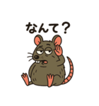 毎日使える⟡.·ポップなネズミ（個別スタンプ：13）