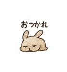 でもでもウサギのいいわけスタンプ（個別スタンプ：8）