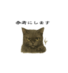表情とセリフが合わない黒猫（個別スタンプ：8）