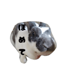 聖なる牛（個別スタンプ：13）