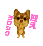 ポン太の日常スタンプ（個別スタンプ：7）