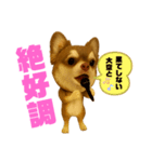 ポン太の日常スタンプ（個別スタンプ：12）