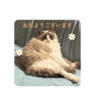 のえるすたんぷ！（個別スタンプ：1）
