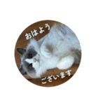 のえるすたんぷ！（個別スタンプ：2）
