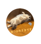 のえるすたんぷ！（個別スタンプ：3）