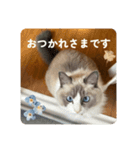 のえるすたんぷ！（個別スタンプ：4）