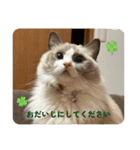 のえるすたんぷ！（個別スタンプ：5）
