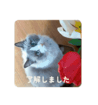のえるすたんぷ！（個別スタンプ：8）