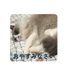 のえるすたんぷ！（個別スタンプ：9）