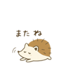 ハリネズミ日本語（個別スタンプ：4）