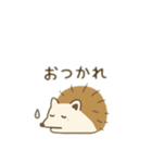 ハリネズミ日本語（個別スタンプ：5）