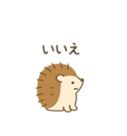 ハリネズミ日本語（個別スタンプ：9）