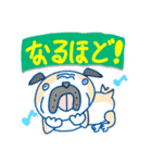 ブルさんのスタンプだよ（個別スタンプ：17）