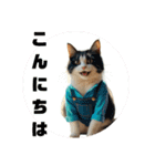 猫 族 ②（個別スタンプ：2）