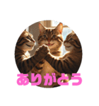 猫 族 ②（個別スタンプ：5）