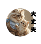 猫 族 ②（個別スタンプ：6）