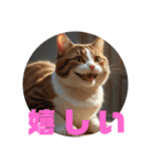 猫 族 ②（個別スタンプ：8）