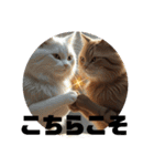 猫 族 ②（個別スタンプ：9）