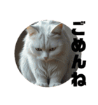 猫 族 ②（個別スタンプ：10）