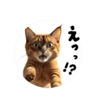 猫 族 ②（個別スタンプ：13）