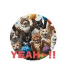 猫 族 ②（個別スタンプ：16）