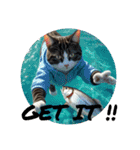 猫 族 ②（個別スタンプ：17）