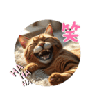 猫 族 ②（個別スタンプ：20）