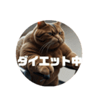 猫 族 ②（個別スタンプ：26）
