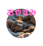 猫 族 ②（個別スタンプ：31）