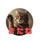 猫 族 ②（個別スタンプ：32）