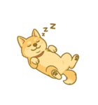 ハニのへそ天スタンプ（個別スタンプ：1）