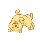 ハニのへそ天スタンプ（個別スタンプ：5）