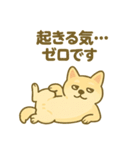 ハニのへそ天スタンプ（個別スタンプ：7）