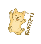 ハニのへそ天スタンプ（個別スタンプ：11）