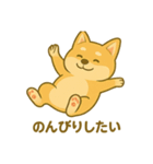 ハニのへそ天スタンプ（個別スタンプ：21）