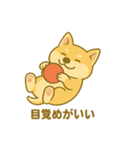 ハニのへそ天スタンプ（個別スタンプ：27）