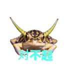 カエル C（個別スタンプ：33）