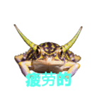 カエル C（個別スタンプ：38）