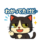ツンデレで四角いねこのぶんたⅡ（個別スタンプ：5）
