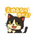 ツンデレで四角いねこのぶんたⅡ（個別スタンプ：6）