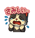 ツンデレで四角いねこのぶんたⅡ（個別スタンプ：15）