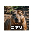 表情豊かなカピバラ気分スタンプ（個別スタンプ：1）