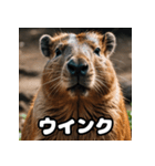 表情豊かなカピバラ気分スタンプ（個別スタンプ：11）