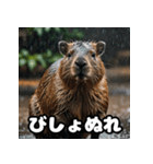 表情豊かなカピバラ気分スタンプ（個別スタンプ：34）