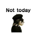 Dandy Schnauzer（個別スタンプ：7）